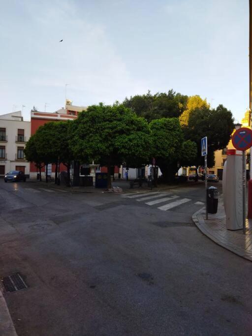 Hispalis Plaza Cristo De Burgos Apartment Seville Exterior photo
